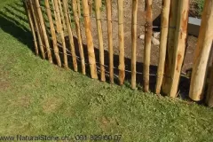 Staketenzaun_aufstehend